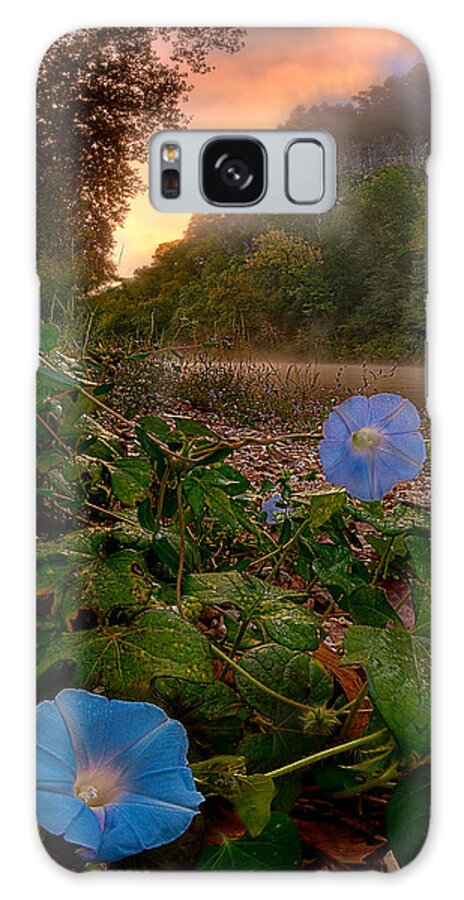 2012 Galaxy Case featuring the photograph Morning Glory by Robert Charity