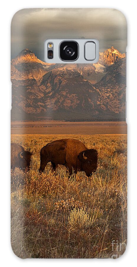 Grand Teton Galaxy Case featuring the photograph Morning Travels in Grand Teton by Sandra Bronstein