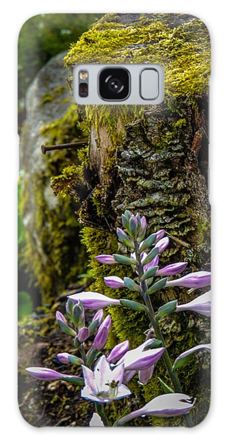 Moss Galaxy Case featuring the photograph Moss and Flowers in Markree Castle Gardens by James Truett
