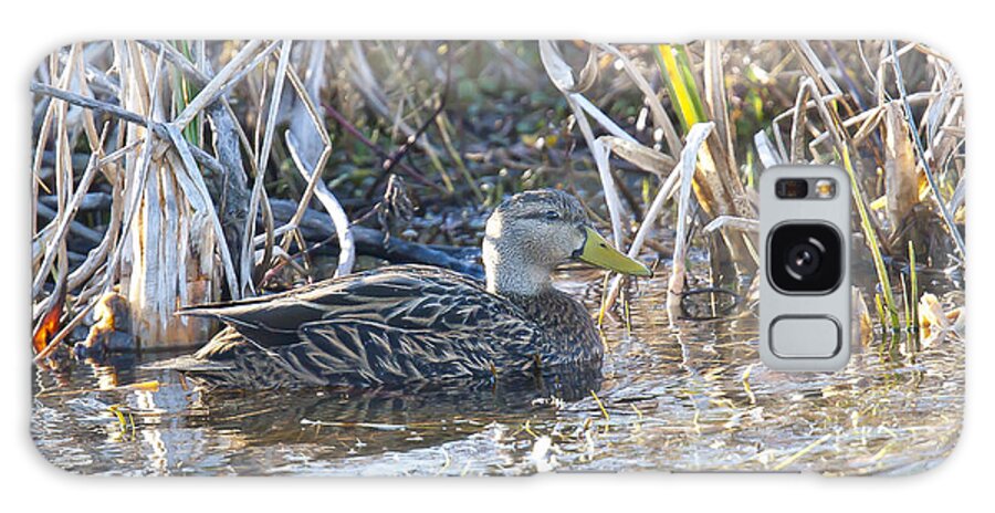 Mottled Duck Galaxy Case featuring the photograph Mottled by Jim E Johnson