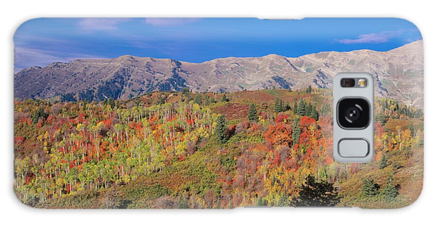 Altitude Galaxy Case featuring the photograph Mount Nebo Fall, Mount Nebo Scenic by Howie Garber