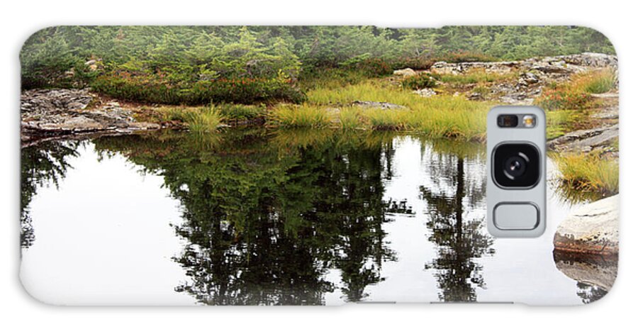 Landscape Galaxy Case featuring the photograph Mountain Lake Reflections by Gerry Bates