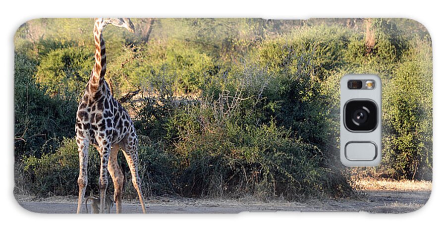 Giraffe Galaxy S8 Case featuring the photograph Move Along by Allan McConnell