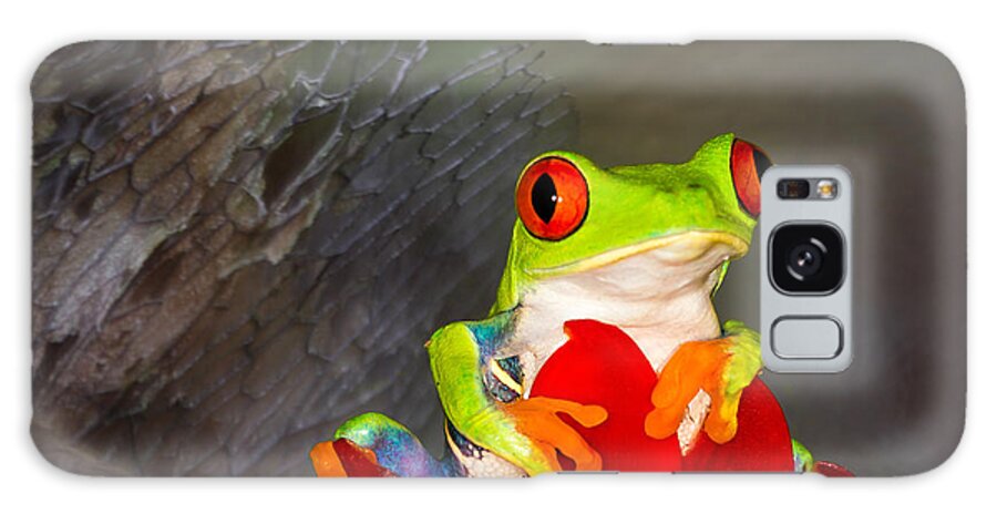 Red Eyed Tree Frogs Galaxy Case featuring the photograph Mr. Curious by Mary Lou Chmura