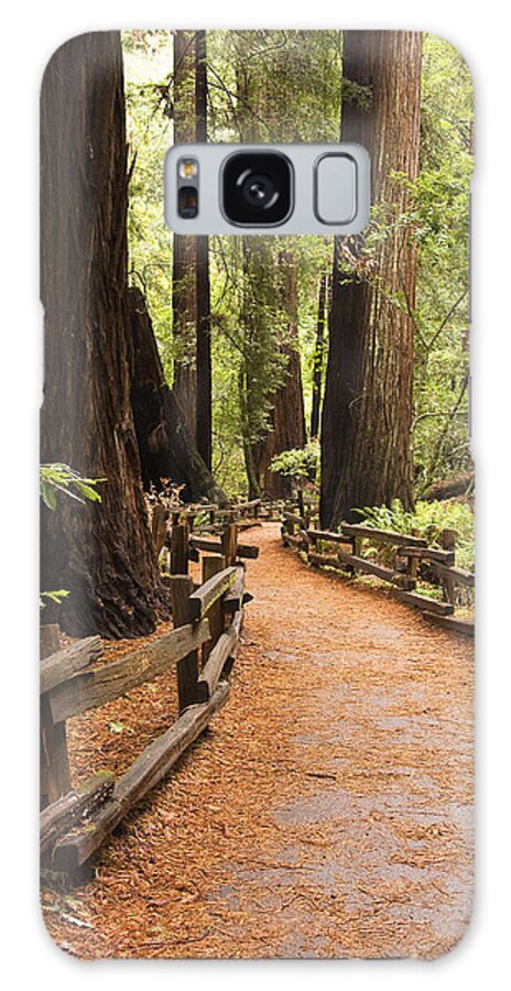 Muir Woods Galaxy Case featuring the photograph Muir Woods Trail by Sue Leonard