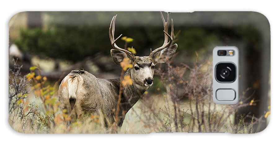 Mule Galaxy Case featuring the photograph Mule Deer I by Chad Dutson