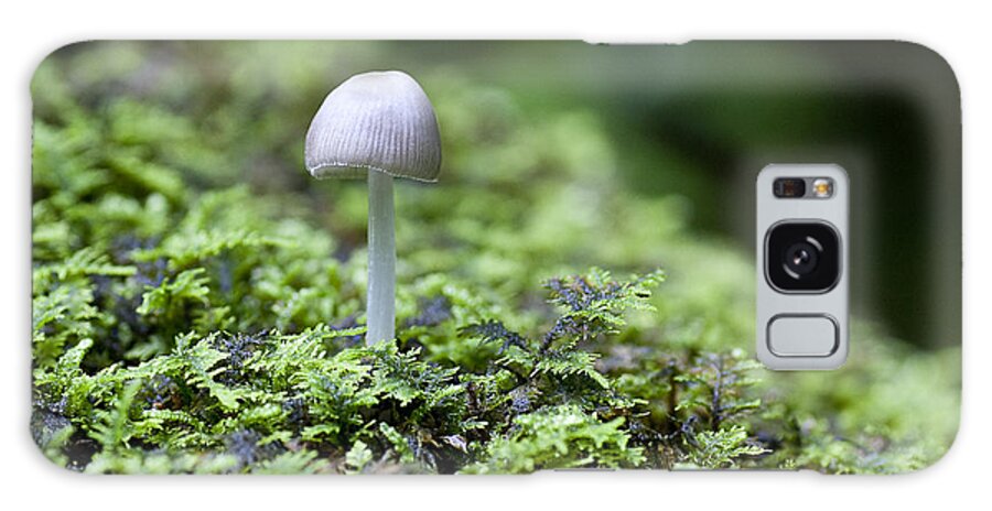 Ridgeway Galaxy Case featuring the photograph Mushroom by Steven Ralser