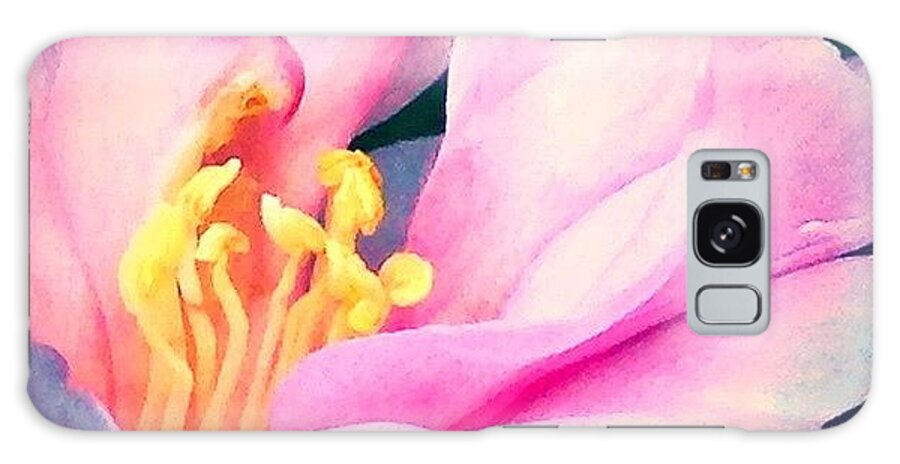 Pink Galaxy Case featuring the photograph My Camellias Are Blooming by Anna Porter