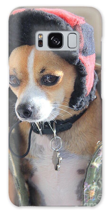 Chihuahua Galaxy Case featuring the photograph My Huntin' Dawg by Melissa Mim Rieman