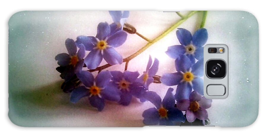 Flower Galaxy Case featuring the photograph Myosotis Forget me not by Vix Edwards