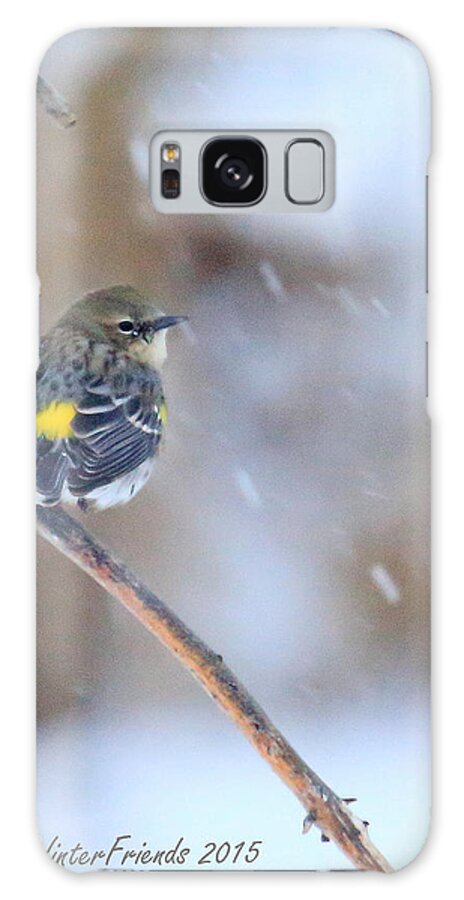 Myrtle Yellow-rumped Warbler Galaxy Case featuring the photograph Myrtle Yellow-rumped Warbler by PJQandFriends Photography
