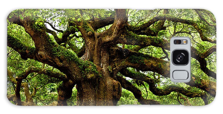  Johns Island Galaxy Case featuring the photograph Mystical Angel Oak Tree by Louis Dallara