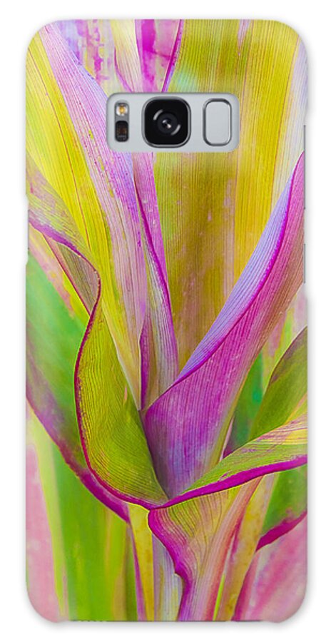 Plant Galaxy Case featuring the photograph Natures Colors by Julie Palencia