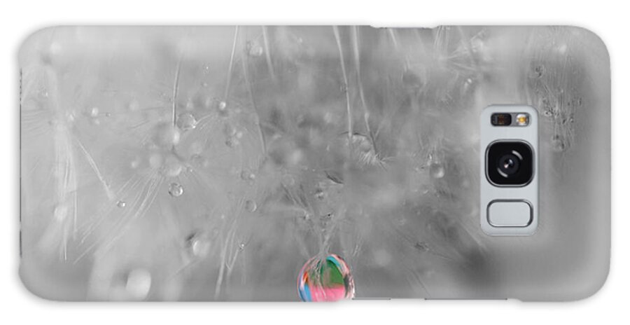 Dew Drop Galaxy Case featuring the photograph Nature's Crystal Ball by Marianna Mills