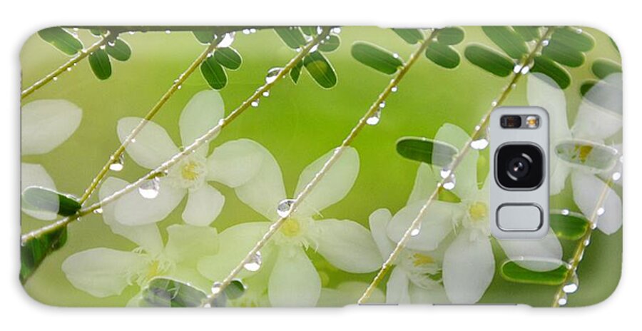 Nature's Jewelry Galaxy S8 Case featuring the photograph Nature's Jewelry by Darla Wood