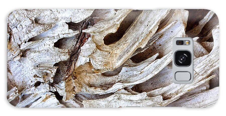 Driftwood Galaxy Case featuring the photograph Nature's Sculpture-2 by Shirley Mitchell