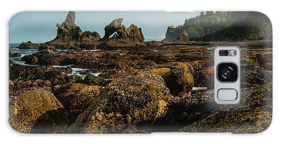 Seastack Galaxy Case featuring the photograph Natures Way by Gene Garnace