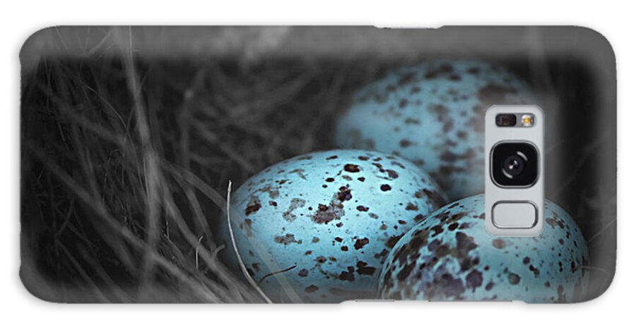 Square Galaxy Case featuring the photograph Nest of 3 by Trish Mistric
