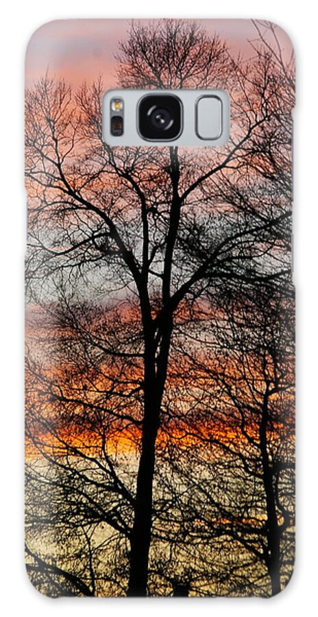 Sunset Galaxy Case featuring the photograph New Years Sunset by Tannis Baldwin