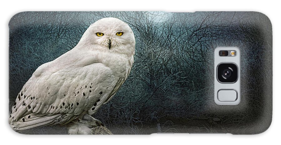 Snowy Owl Galaxy S8 Case featuring the photograph Night Owl by Brian Tarr