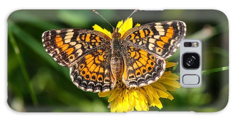 Beautiful Butterfly Galaxy S8 Case featuring the photograph Northern Crescent Butterfly by Victor Culpepper