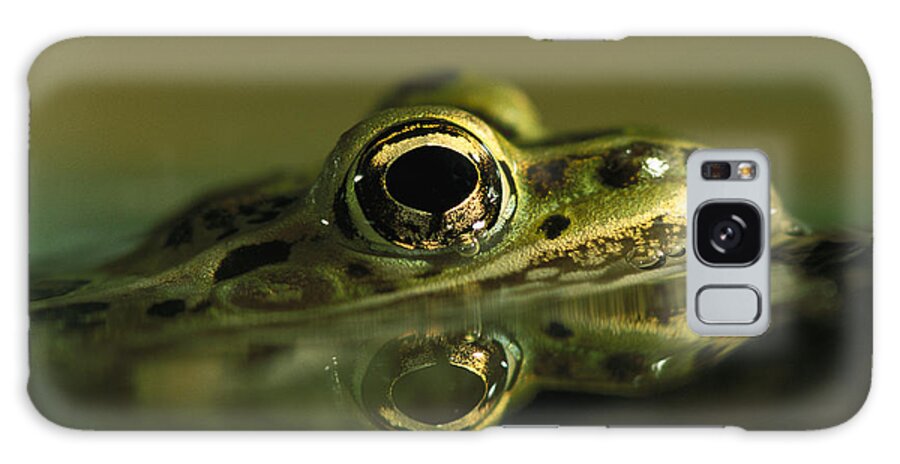 Feb0514 Galaxy Case featuring the photograph Northern Leopard Frog by Heidi & Hans-Juergen Koch
