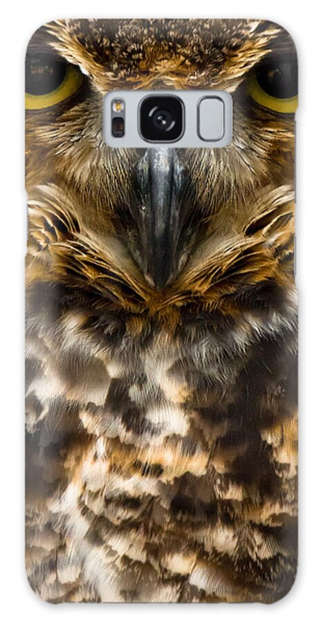 Owl Galaxy S8 Case featuring the photograph Not Mad At All by Robert L Jackson