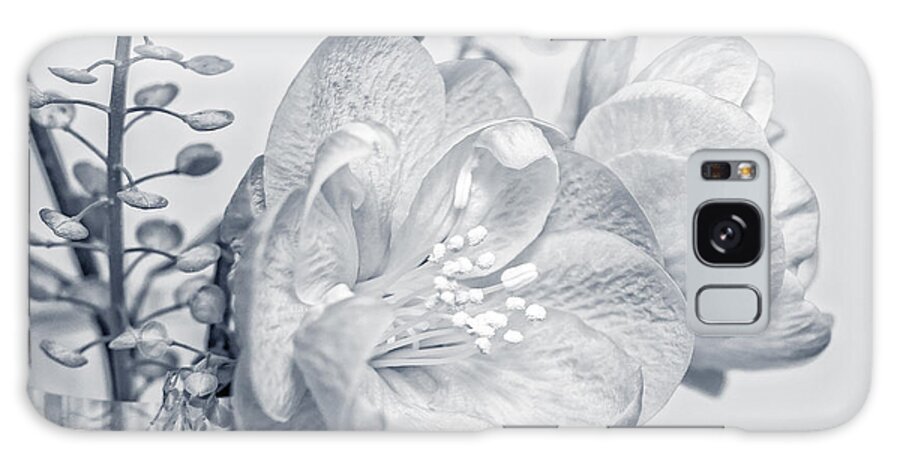 Macro Galaxy Case featuring the photograph Not Quite Black and White by Len Romanick