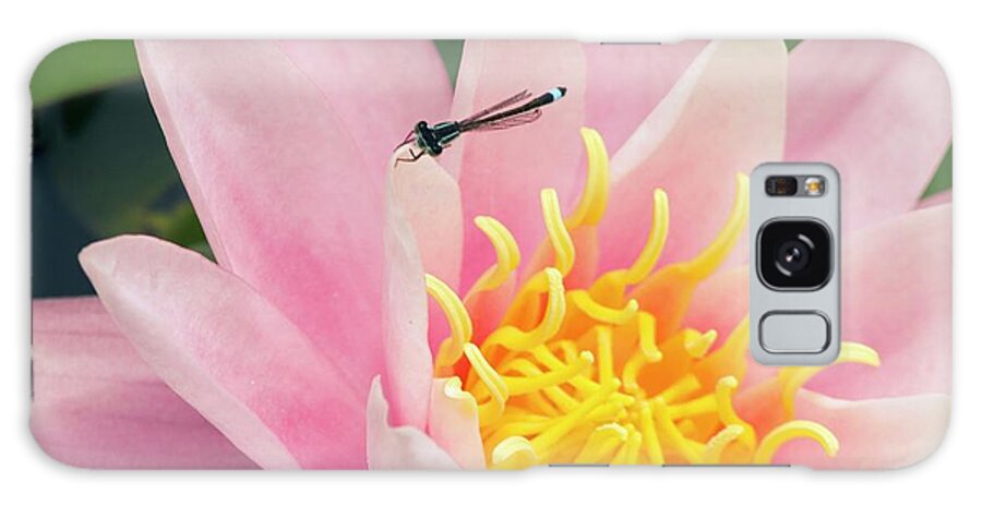 Nymphaea Galaxy Case featuring the photograph Nymphaea 'pink Sensation' by Adrian Thomas