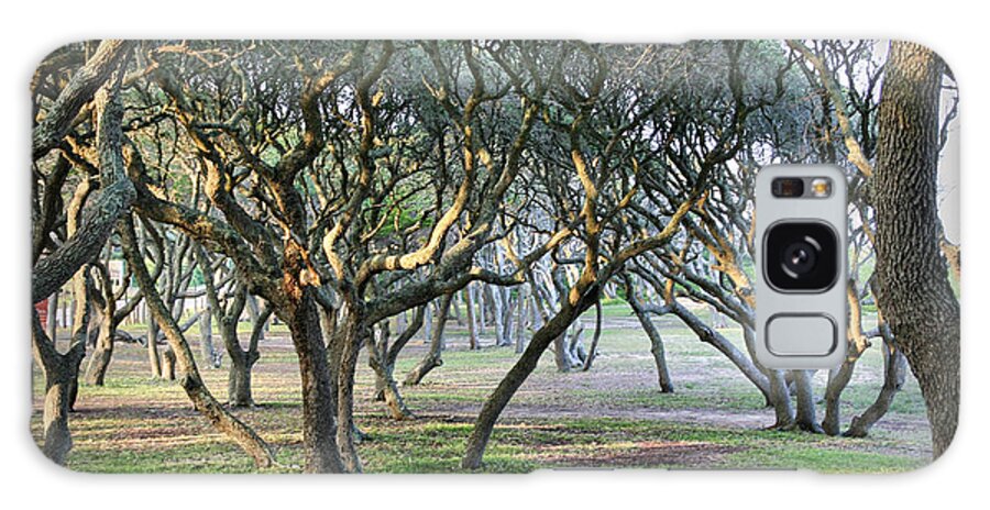 Trees Galaxy S8 Case featuring the photograph Oaks Of Fort Fisher by Phil Mancuso