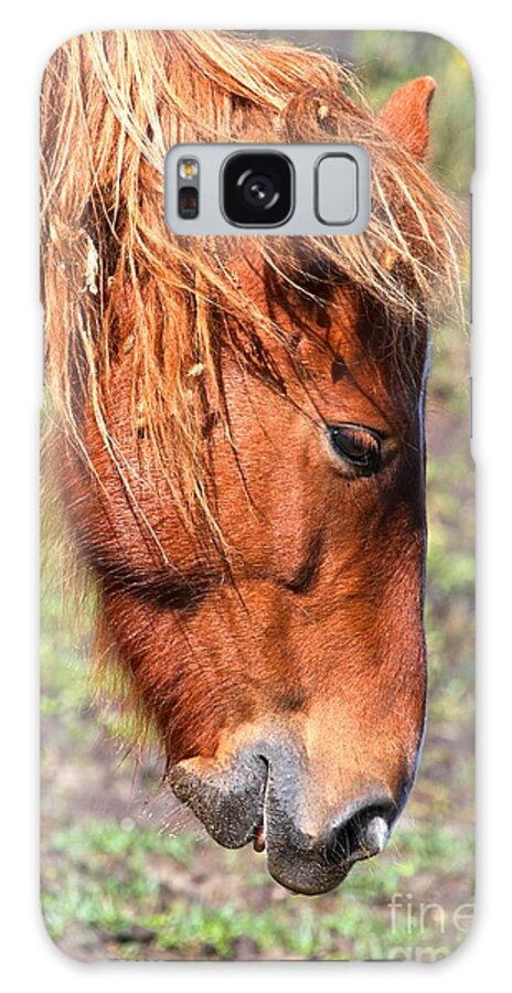 Wild Pony Galaxy Case featuring the photograph Ocracoke Island Pony by Adam Jewell
