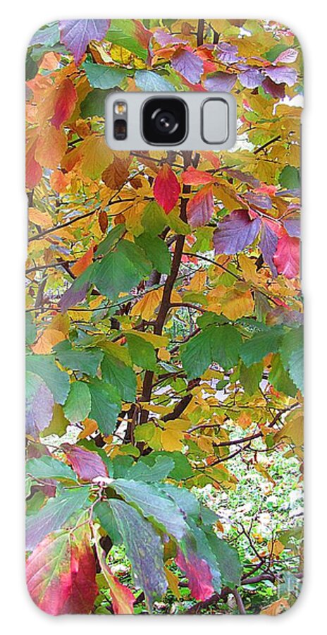 Autumn Galaxy S8 Case featuring the photograph October Watercolors_4 by Halyna Yarova