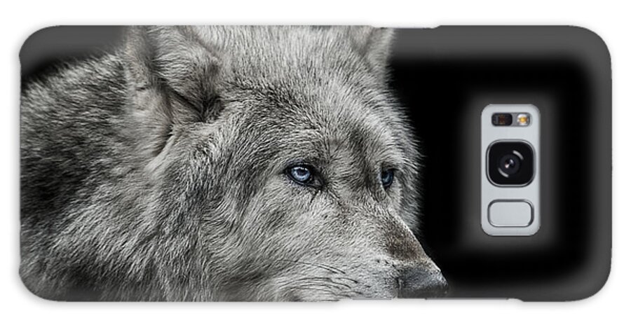 Wolf Galaxy Case featuring the photograph Old blue eyes by Paul Neville