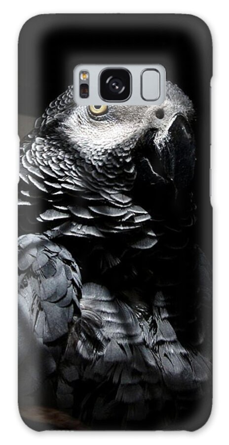 Bird Galaxy S8 Case featuring the photograph Old Gray by Steve Godleski