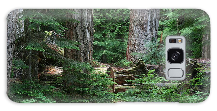Mount Rainier National Park Galaxy Case featuring the photograph Old Growth by Paul Schultz