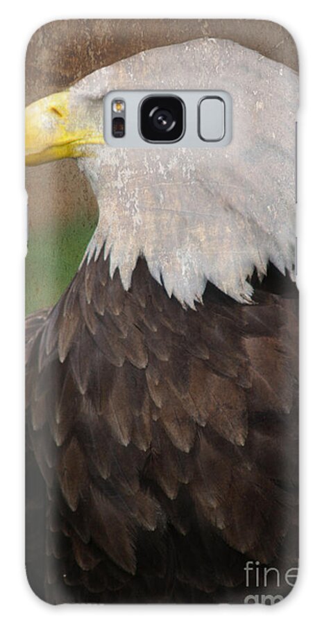 Linsey Williams Photography Galaxy Case featuring the photograph Old wisdom by Linsey Williams