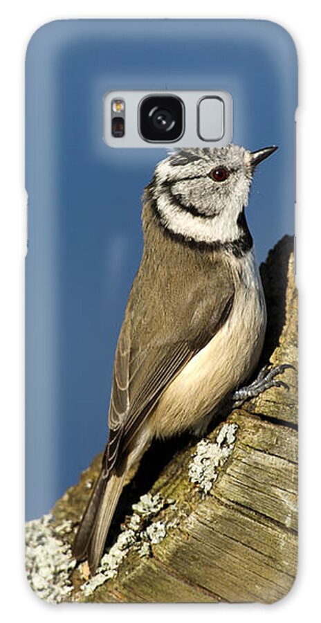 On The Edge Galaxy Case featuring the photograph On the edge by Torbjorn Swenelius