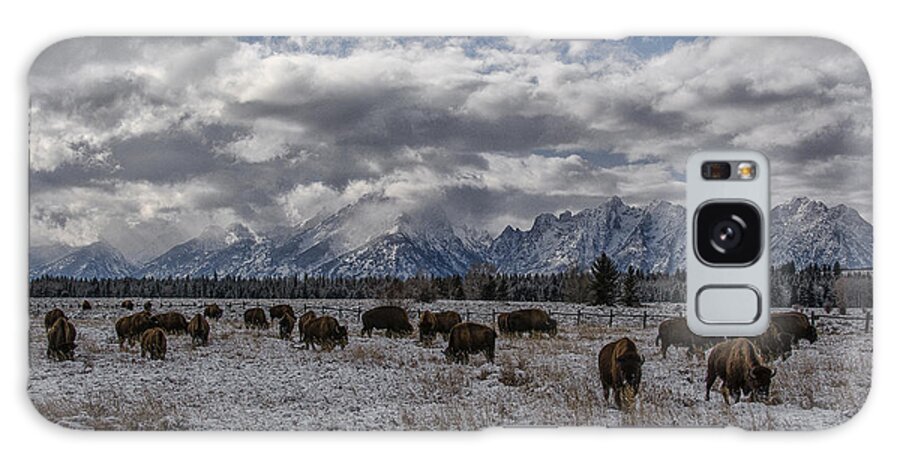 Grand Tetons Galaxy Case featuring the photograph On the Range by Erika Fawcett