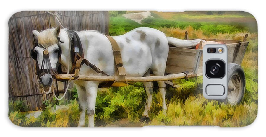 Ken Galaxy Case featuring the photograph One Horse Wagon by Ken Johnson