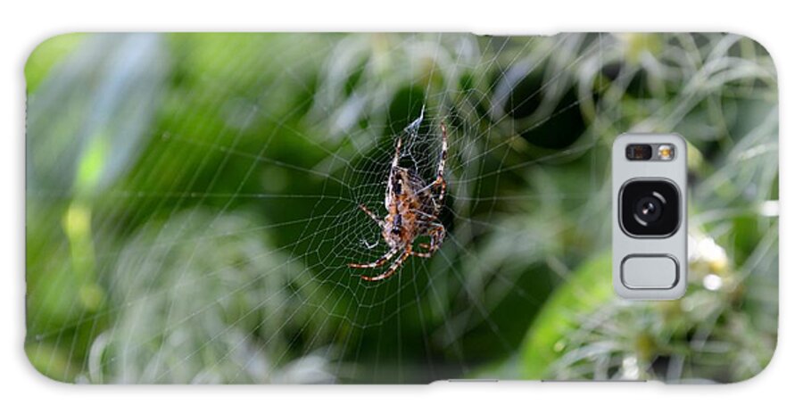 Orb Weaver Spider Galaxy Case featuring the photograph Open Air Market by Laureen Murtha Menzl