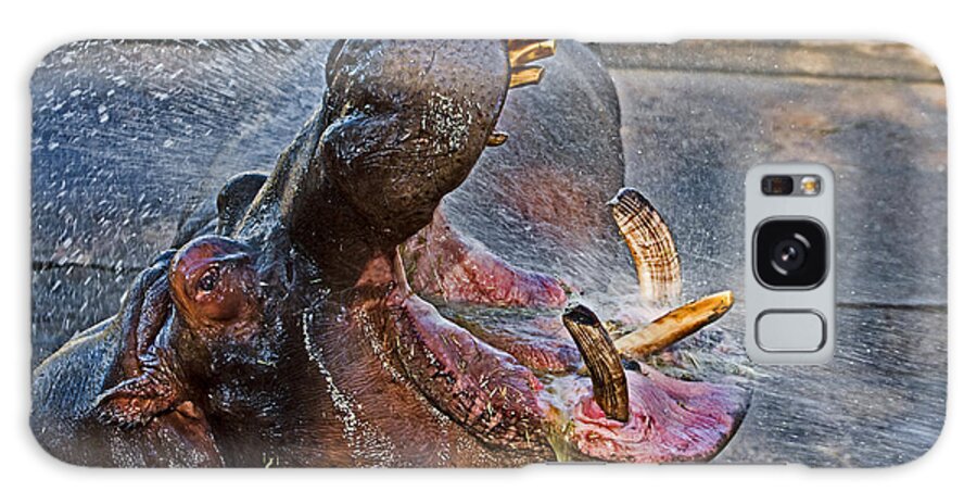 #hippo Galaxy Case featuring the photograph Open wide by Miroslava Jurcik