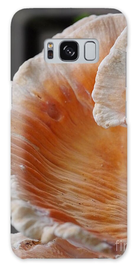 Orange Galaxy Case featuring the photograph Orange and White Fungi by Jane Ford