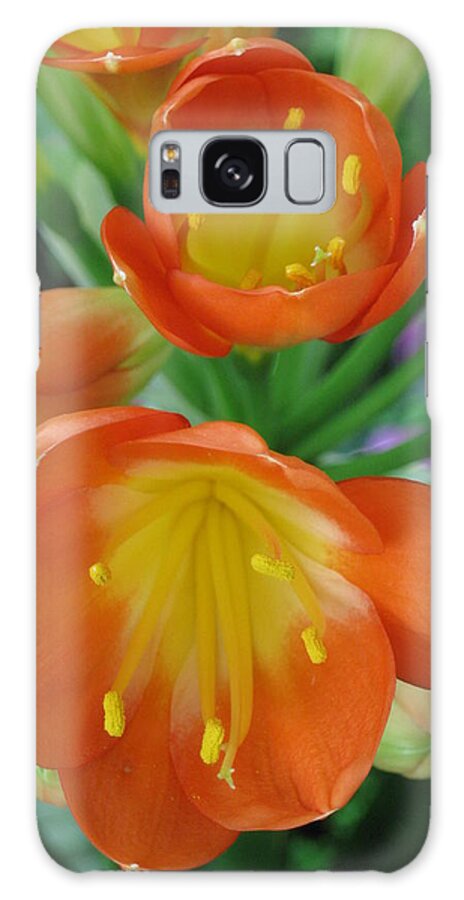 Lilly Galaxy Case featuring the photograph Orange Crush by Ron Monsour