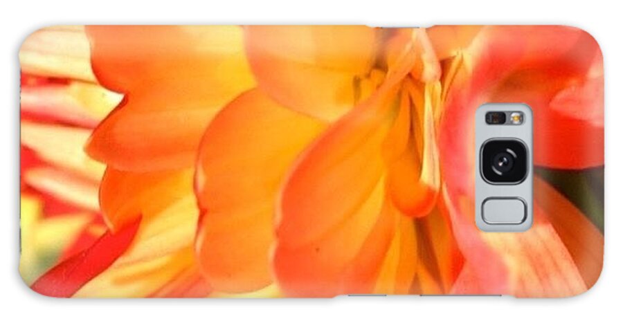 Flowers Galaxy Case featuring the photograph Orange Dahlia by Anna Porter