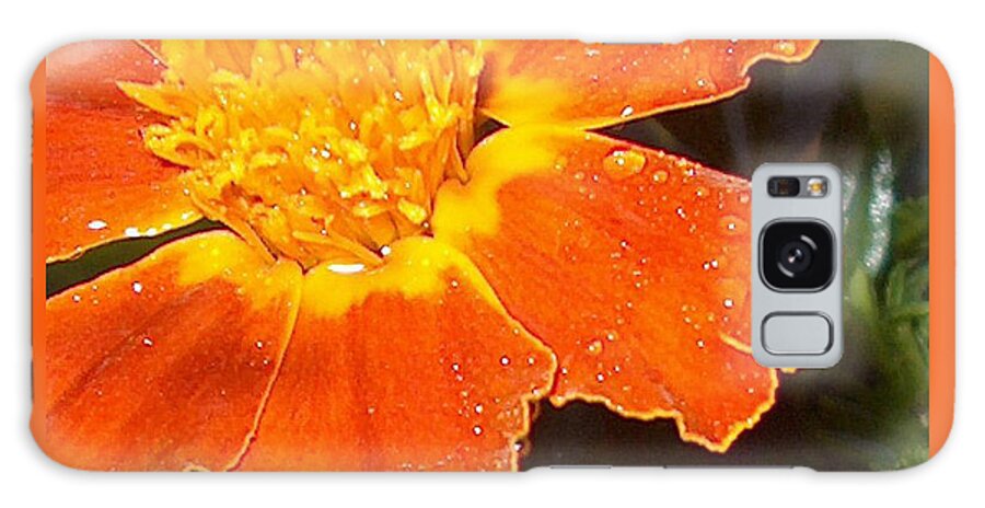 Orange Galaxy Case featuring the photograph Orange Flower by Bertie Edwards