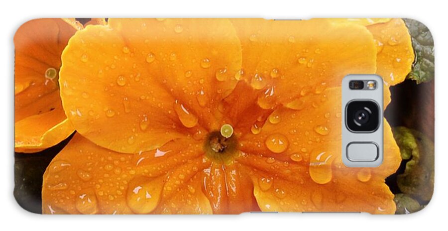 Orange Galaxy Case featuring the photograph Orange flower with water drops by Matthias Hauser