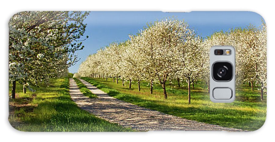 Tranquility Galaxy Case featuring the photograph Orchards As Far As The Eye Can See by John A Gessner Photography