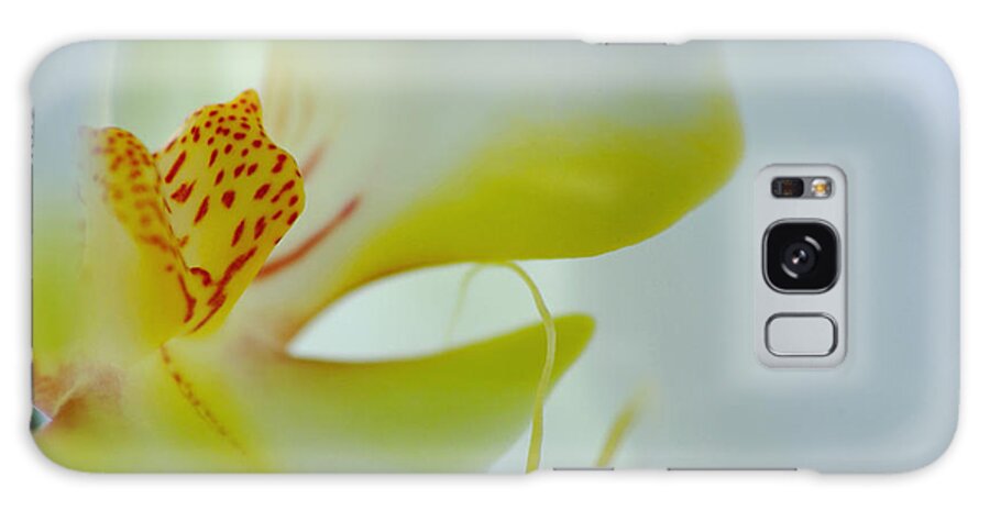 Flowers Galaxy Case featuring the photograph Orchid 2 by Jack Daulton