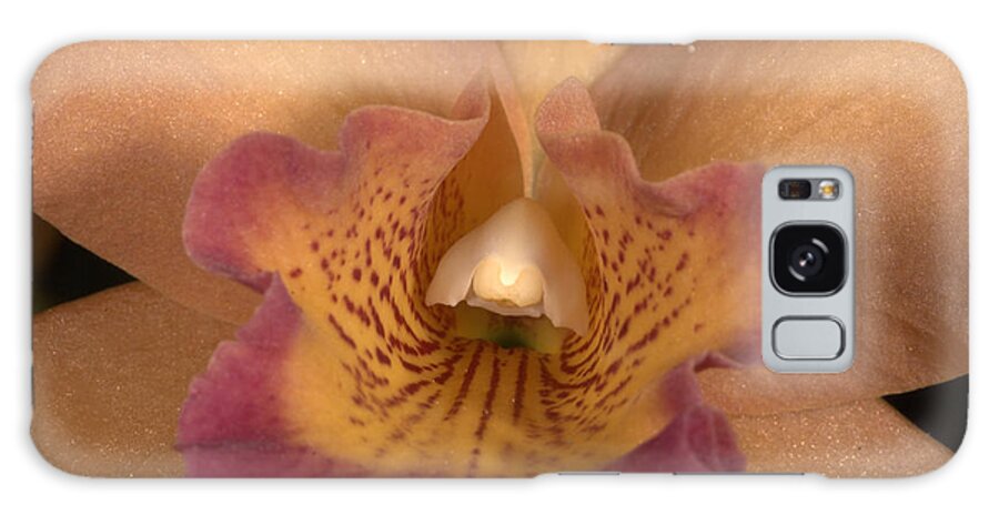 Orchid Galaxy Case featuring the photograph Orchid 477 by Wesley Elsberry