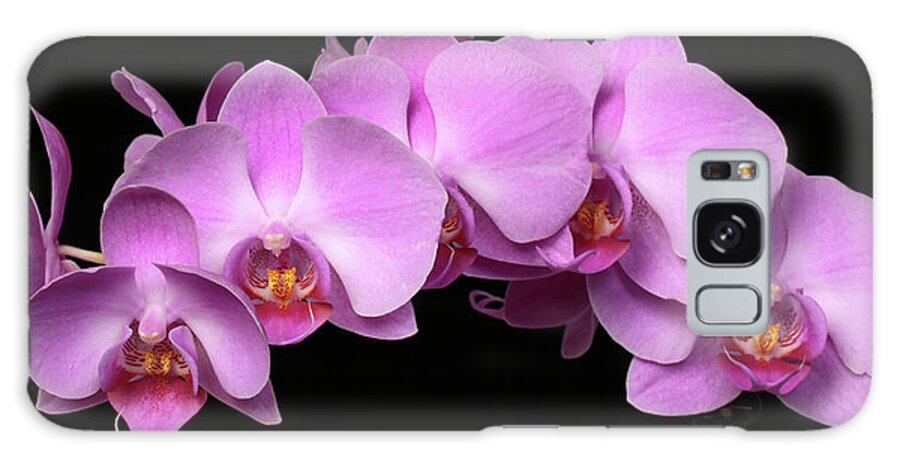 Nature Galaxy Case featuring the photograph Orchid Arch by Harold Rau